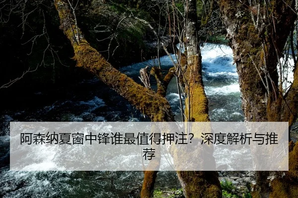 阿森纳夏窗中锋谁最值得押注？深度解析与推荐