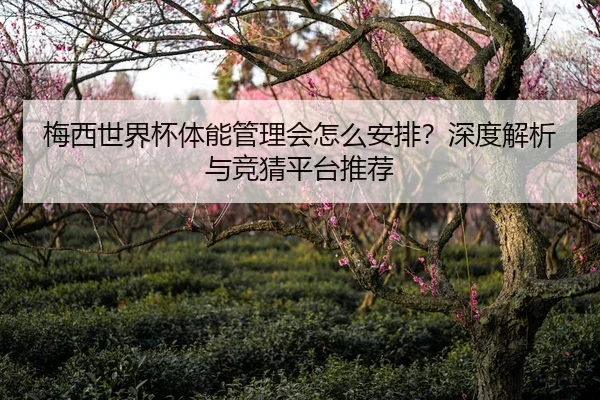 梅西世界杯体能管理会怎么安排？深度解析与竞猜平台推荐